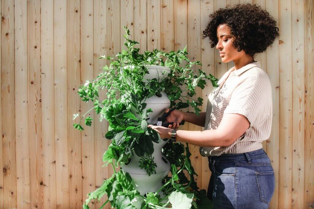 DIY Urban Garden Projects For Small Spaces