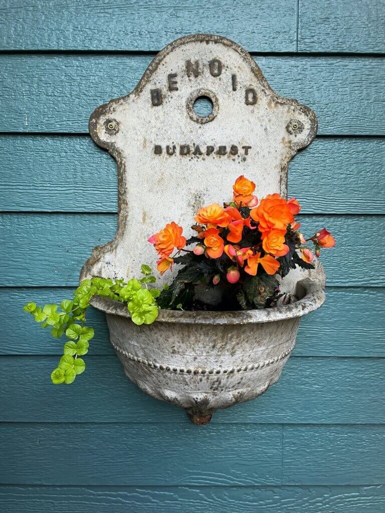 The Art Of Container Gardening In Urban Environments