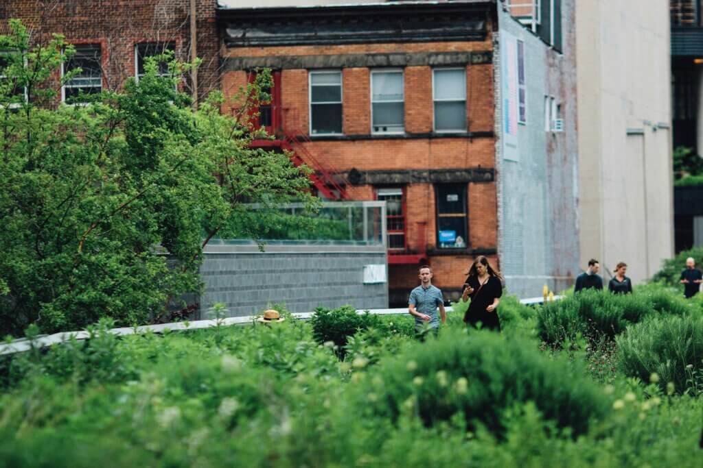 Urban Gardening As A Form Of Activism